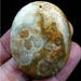 Brown Ammonite Fossil Oval Pendant Focal Bead 45x35x9mm