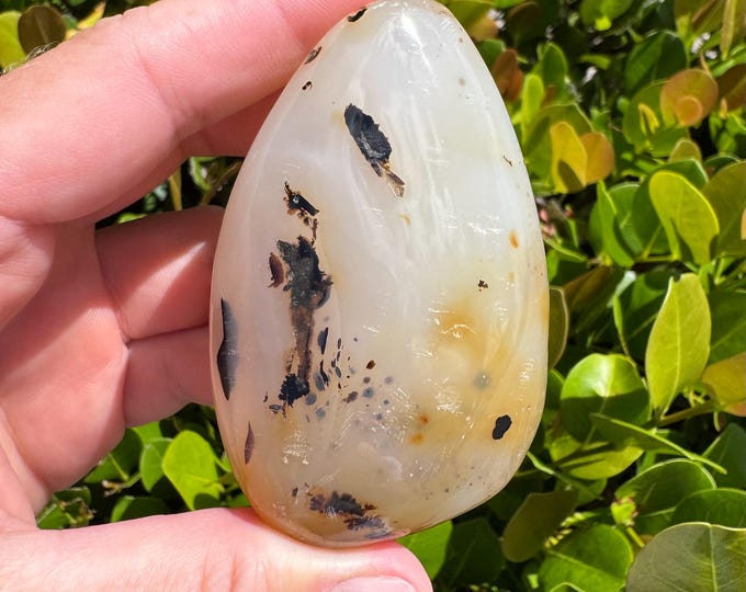 Natural Dendritic Agate Tumbled Stone