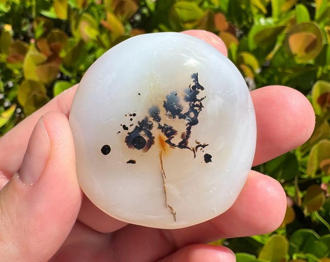Natural Dendritic Agate Tumbled Stone