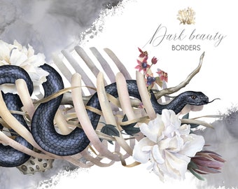 Puede incluir: Una ilustración de acuarela de una serpiente azul oscuro envuelta alrededor de un conjunto de costillas blancas, con flores blancas y una rama con bayas. El fondo es una acuarela gris. El texto "Dark beauty borders" está escrito en cursiva negra.