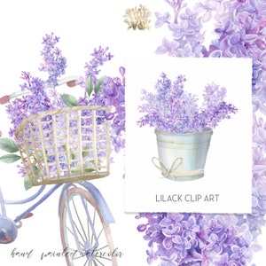 Clipart de acuarela lila, bicicleta floral vintage, flores moradas y ramas verdes PNG, boda y fiesta de primavera