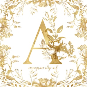 Gold Folie Monogramm Clipart, goldene florale Hochzeit Buchstaben Clip Art, verschnörkelte Initialen png, Vintage Stil Ornament