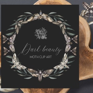 Aquarell Gotik Rahmen PNG, Halloween Cliparts, Clip Art Hexe, dunkles Holz, Wald Motte, trockener Kranz, Grafiken für Scrapbooking