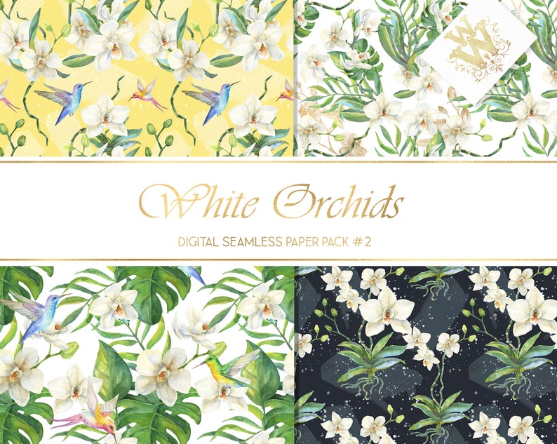 May include: Four digital seamless paper patterns featuring white orchids and hummingbirds. The patterns are on a yellow, white, black, and white background. The text "White Orchids" and "Digital Seamless Paper Pack #2" is displayed on a white background.
