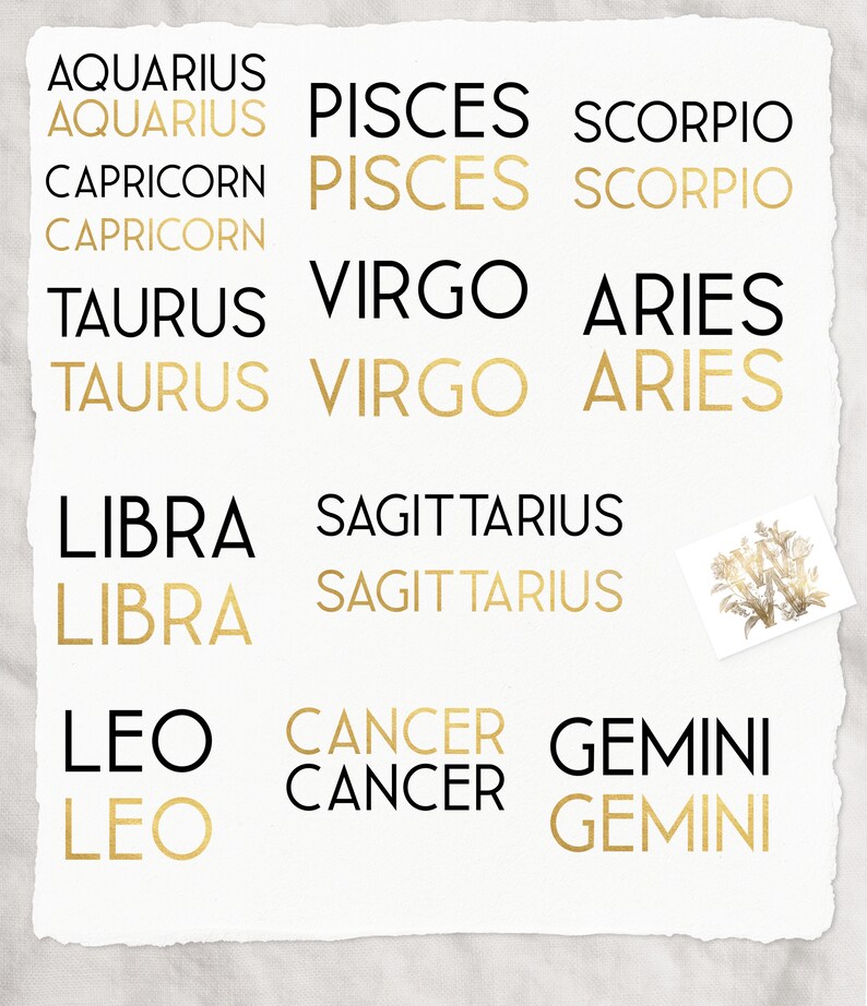 May include: A white paper featuring zodiac signs in black and gold lettering. The signs include Aquarius, Pisces, Scorpio, Capricorn, Taurus, Virgo, Aries, Libra, Sagittarius, Leo, Cancer, and Gemini. A small floral illustration is in the corner.