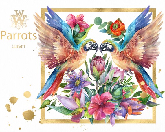Download Watercolor Parrot Clip Art Tropical Bird Clipart Summer Sublimation Design Wedding T Shirt Illustration Png Exotic