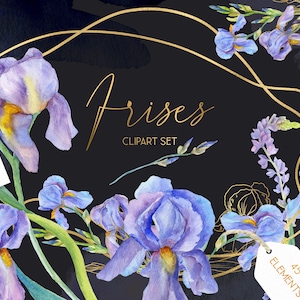 Acquerello Iris fiori clipart, iris dorati clip art, matrimonio floreale telaio download, modello di invito splash moderno bouquet di ghirlade