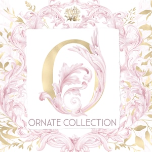 Paquete PNG de adornos rosas, clipart de marco de niña, borde de acuarela barroco, alfabeto de monograma dorado real, arte de baby shower de princesa de lujo