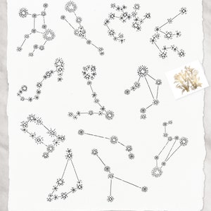 May include: A white paper featuring black line drawings of constellations. Each constellation is made up of interconnected stars with radiating lines. A small, rectangular image of dried flowers is in the upper right corner.