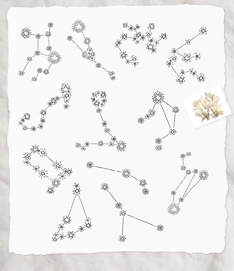 May include: A white paper featuring black line drawings of constellations. Each constellation is made up of interconnected stars with radiating lines. A small, rectangular image of dried flowers is in the upper right corner.