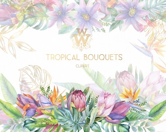 Watercolor Tropical Clipart: Floral Borders, hand-drawn Exotic Flowers PNG