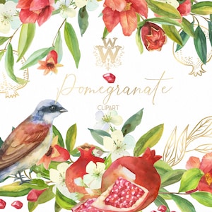 Watercolor Pomegranate Floral Clipart: Red Flowers, Bird, Gold Accents (PNG Digital Download)