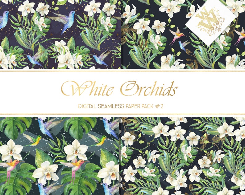 May include: A digital paper pack with four seamless patterns featuring white orchids, green leaves, and blue hummingbirds on a black background with gold glitter. The text "White Orchids" and "Digital Seamless Paper Pack #2" is displayed on a white banner.