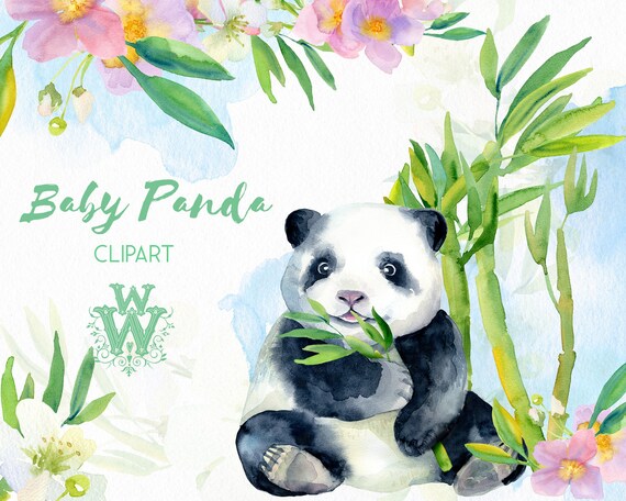Watercolor Baby Panda Clipart Cute Animals Clip Art Bamboo Etsy Watercolor Baby Panda Clipart Cute Animals Clip Art Bamboo Etsy