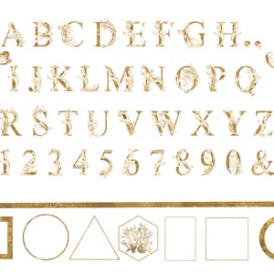 Goldfolie Monogramm Clip Art, Luxus Alphabet Clipart, goldene Buchstaben, antike Hochzeit, ABC Ornament, Wappen Initialen, Royal PNG Download