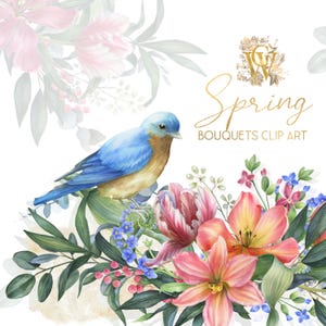 Clipart floral printanier, clipart bordure aquarelle, cadre de Pâques, lys orange, fleur de tulipe, couronne dessinée à la main, primevères, merle bleu, verdure