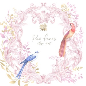 Aquarel roze baroklijst PNG, kuifrand clipart, prinses ornamenten, bladgoud bladeren, antiek, babyshower, retro koninklijke stijl