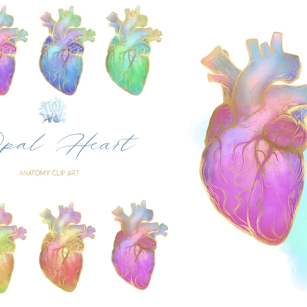 Heart clip art, Human Anatomy clipart, rainbow Medicine clipart,  Opal color Graphic health set, Printable Isolated mental health Design