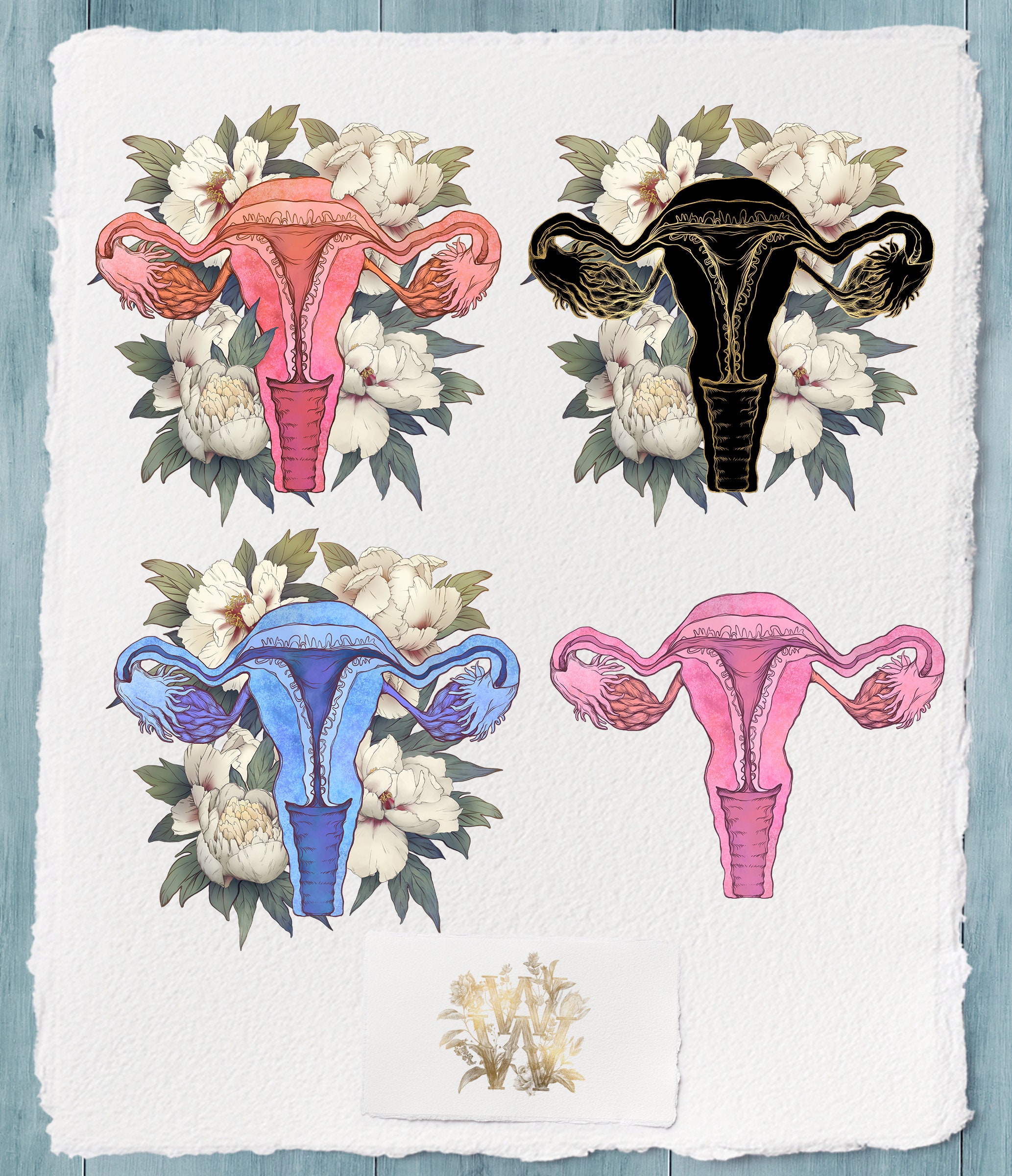 Floral Uterus Clip Art Anatomy Clipart Women Health Png - Etsy