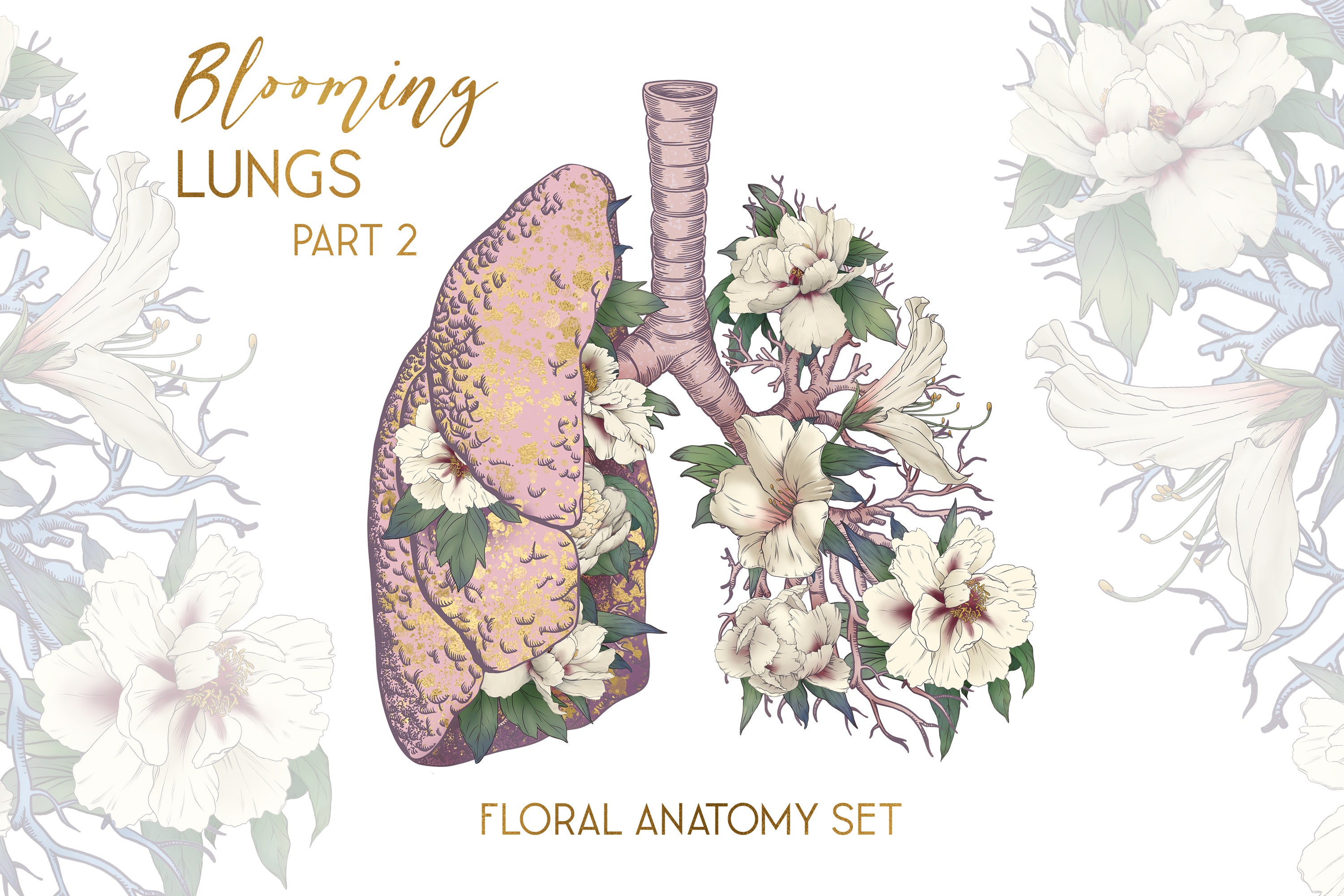 Medicine Lungs Clip Art Floral Human Anatomy Clipart Graphic Etsy UK