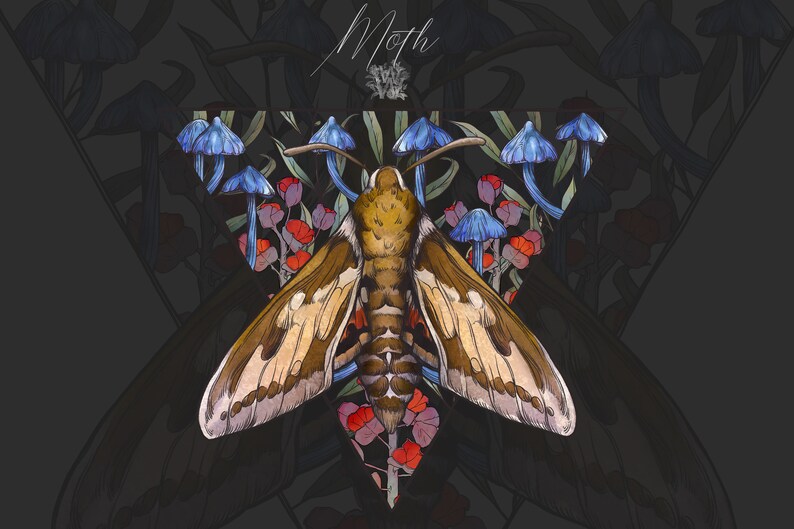 Puede incluir: Una ilustraci&oacute;n digital de una polilla marr&oacute;n centrada sobre un fondo triangular con setas azules y flores rojas. La palabra Moth est&aacute; escrita en una fuente cursiva en la parte superior, con un peque&ntilde;o emblema decorativo debajo del texto.