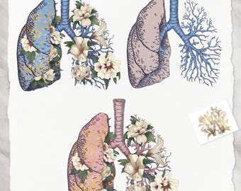 Floral Lungs Anatomy Clipart: Blooming Peony Design (PNG)