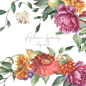 Aquarell Blumenernte Clipart, rote Pfingstrosen Rahmen Clip Art, Feiertagskranz, Thanksgiving PNG, Hochzeit Rand, Herbstfrüchte, Äpfel
