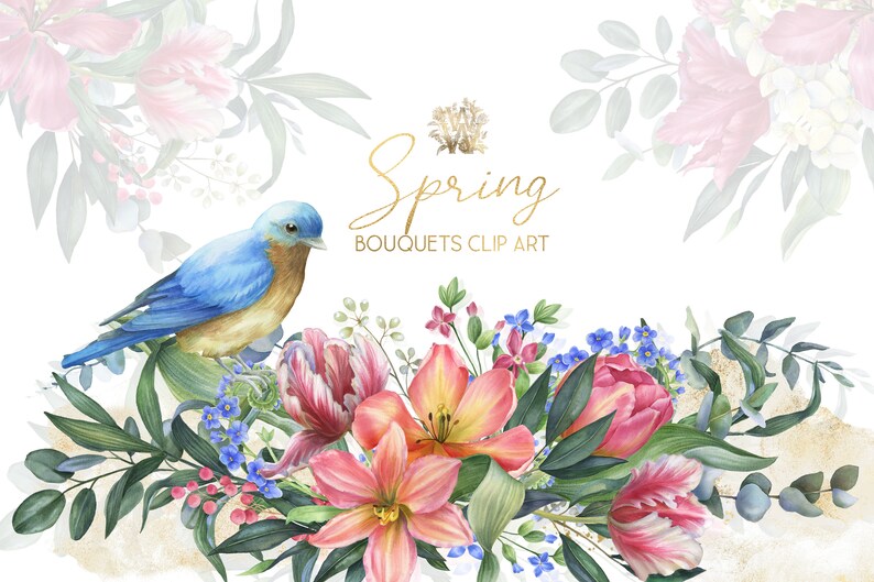 Watercolor peach tulip bouquet clip art wildflower border | Etsy