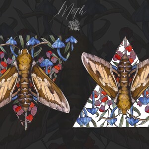 Puede incluir: Una ilustraci&oacute;n digital con dos marcos triangulares que contienen polillas marrones con patrones de alas en tonos bronce y marr&oacute;n oscuro. El fondo dentro de los tri&aacute;ngulos muestra hongos azules y elementos florales rojos. La palabra Moth aparece arriba.