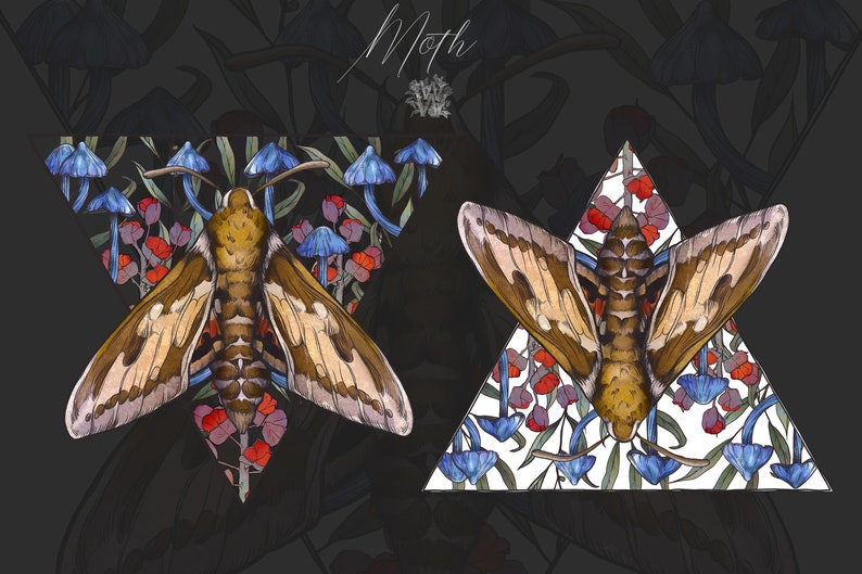Puede incluir: Una ilustraci&oacute;n digital con dos marcos triangulares que contienen polillas marrones con patrones de alas en tonos bronce y marr&oacute;n oscuro. El fondo dentro de los tri&aacute;ngulos muestra hongos azules y elementos florales rojos. La palabra Moth aparece arriba.