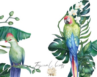 Watercolor Tropical Bird Clipart: Parrot, Toucan, Jungle Leaves (PNG Download)
