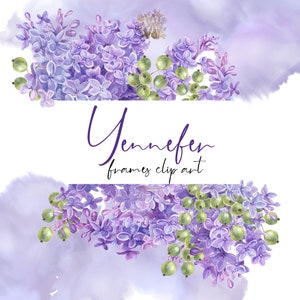 Clipart ramki bzu, clipart granicy z fioletowym kwiatem akwarelowym, fioletowy kwiatowy wieniec png, fioletowe obrazy ślubne boho, agrest, plamy