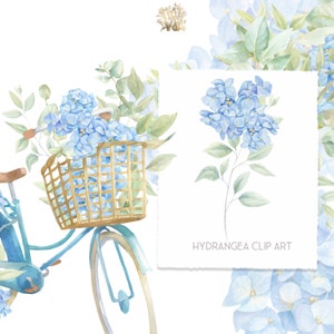 May include: A blue bicycle with a wicker basket filled with blue hydrangeas and green leaves. The bicycle is on a white background.  HYDRANGEA CLIP ART