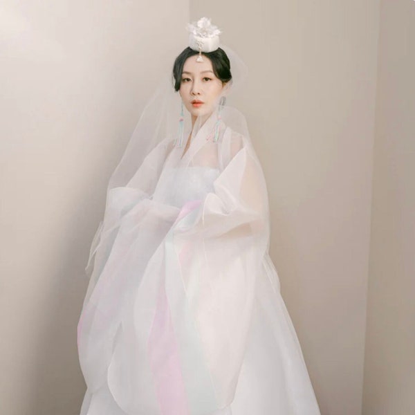 Jiwoo Korean Modern Bridal Wedding Hanbok Dress in Pastel