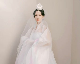 Jiwoo Korean Modern Bridal Wedding Hanbok Dress in Pastel