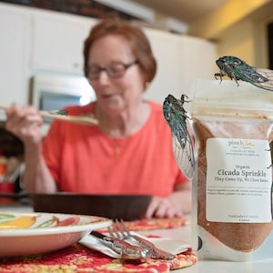 Cicada Sprinkle: The Spice for Good Cicada Eatin’