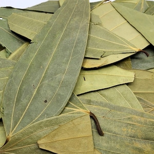 Hoja de laurel orgánica / Hojas de laurel recién secas