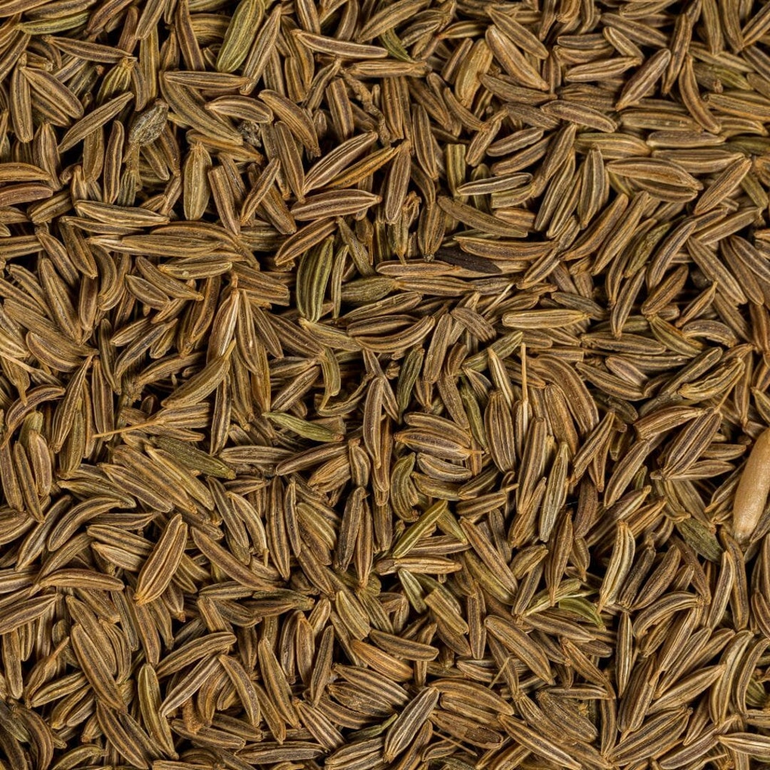 Organic Caraway Seeds (whole) From Egypt - Etsy