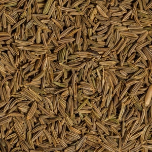 Organic Caraway Seeds (Whole) from Egypt (2 ounces)