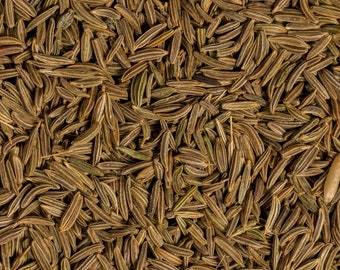 Organic Caraway Seeds (Whole) from Egypt (2 ounces)