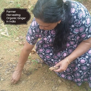 Organic Ceylon Cinnamon Powder (aka True Cinnamon) Alba (Highest) Grade Quality image 9