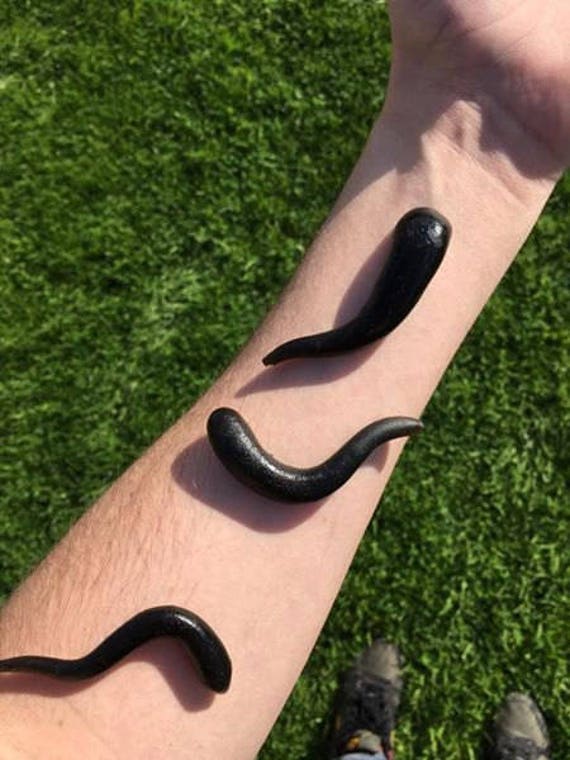 Buy Larp Safe Rubber Leeches, Larp Medic, 5 Pack, Leach Healer, Plague  Doctor Cosplay Online in India 
