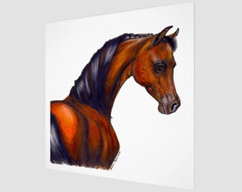 Fine Art Print Horse Illustration by Jenny Pries