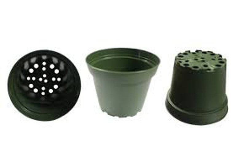 Azalea Style ~ Pots ARE 6 Inch Round At the Top and 5/'/' Inch Deep. 100 New 6 Inch teku Plastic Nursery Pots FREE SHIPPING