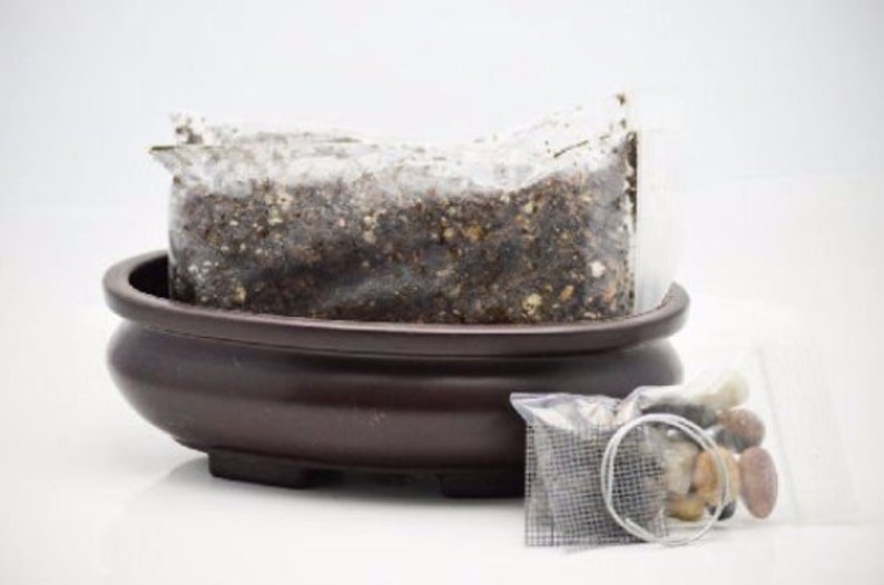 Bonsai Potting Kit BooTool 6.25 Bonsai Pot Included FREE SHIPPING TM