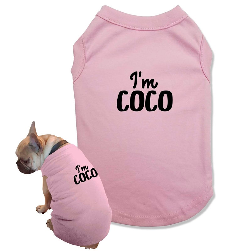Matching Dog and Owner Outfit Custom Name Dog Clothes Etsy
