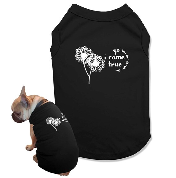 Dog and owner matching pyjamas sale