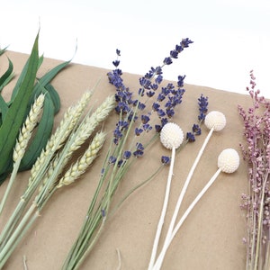 May include: A bouquet of dried flowers including lavender, wheat, eucalyptus, white billy balls, and pink bunny tails.