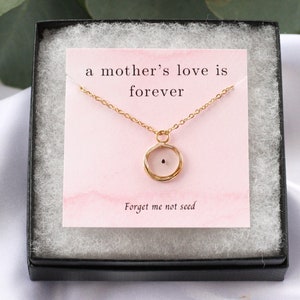 Sympathy gift, bereavement gift, miscarriage gift, miscarry, forget me not seed, forget me not necklace, gift for bereaved mom