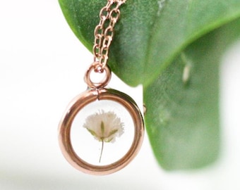May include: A delicate gold necklace with a small round pendant featuring a pressed white flower inside. The pendant is suspended from a delicate gold chain.